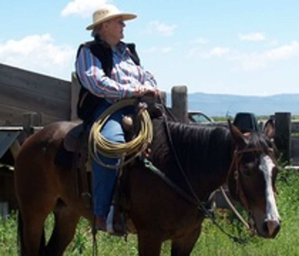 Lois Stoddart Profile Photo