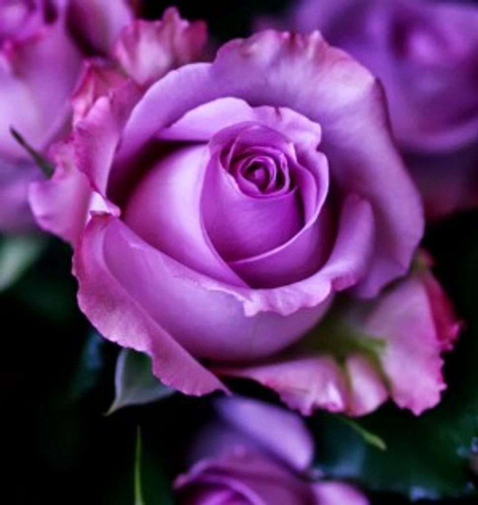 Tienesha Deion Trottie