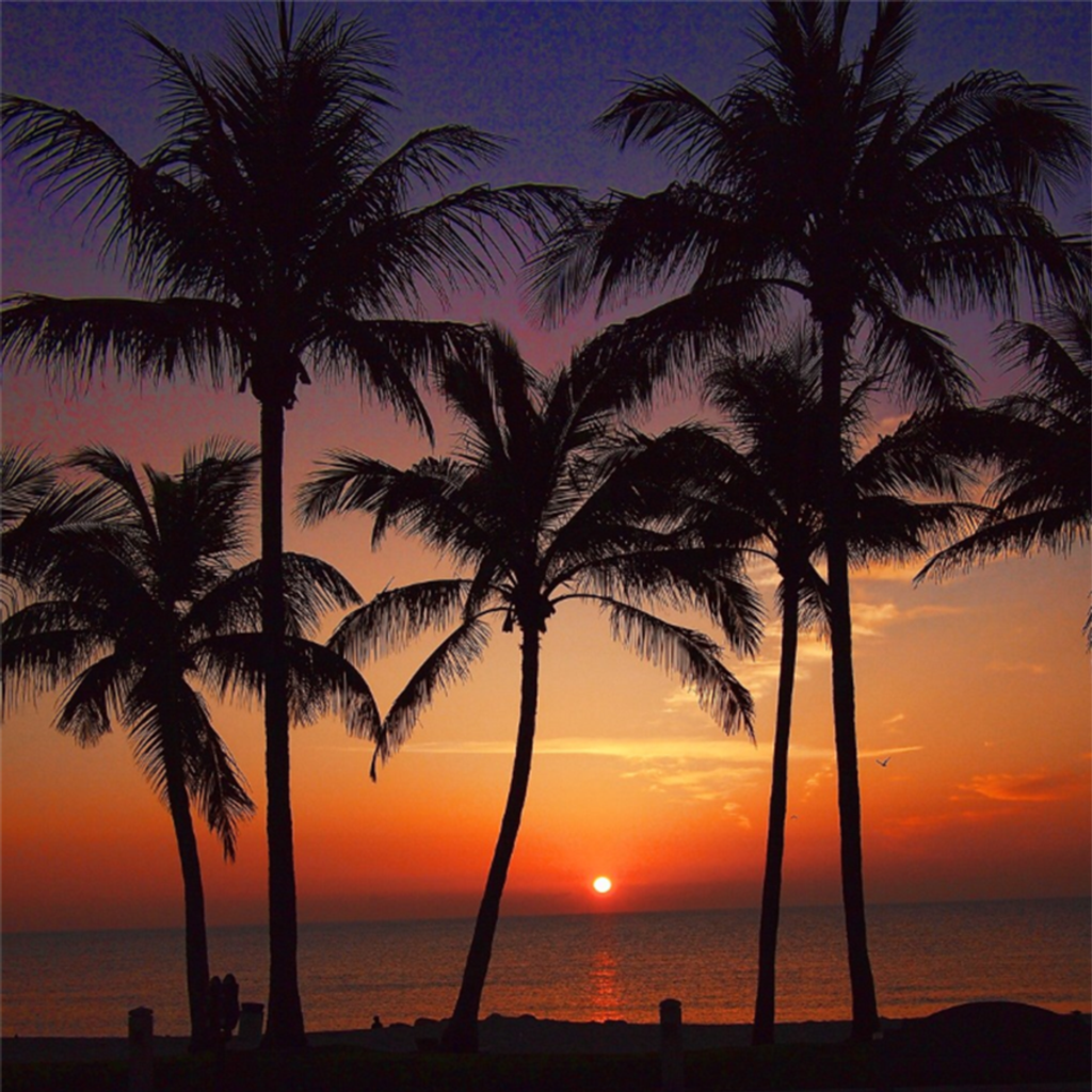 James Bernard Mcclellan Profile Photo