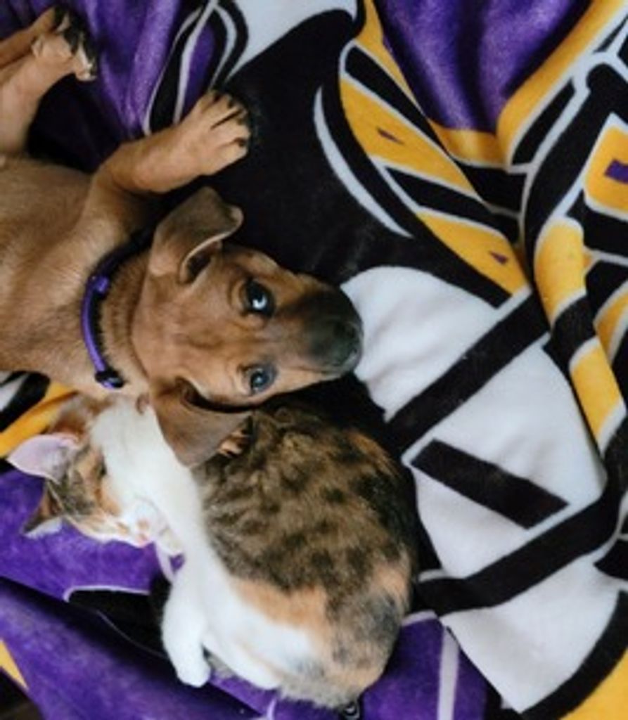 Christine Lewis Profile Photo