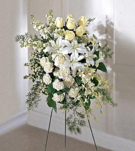 Mario Garcia – Sr. Cisne Mario Garcia Obituary August 12, 2024 - Galante Funeral Home