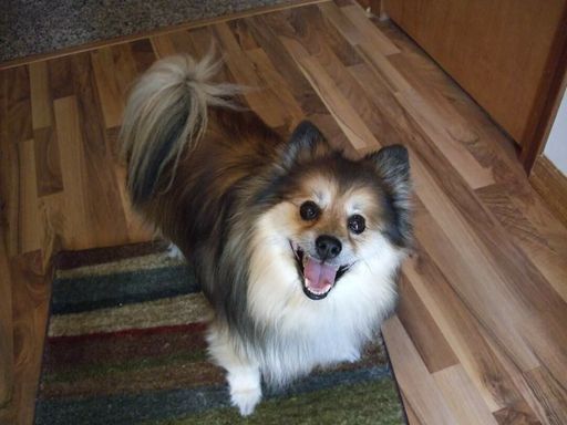 Marsha Kay (Syphers)  Long photo gallery thumbnail 8 of 172