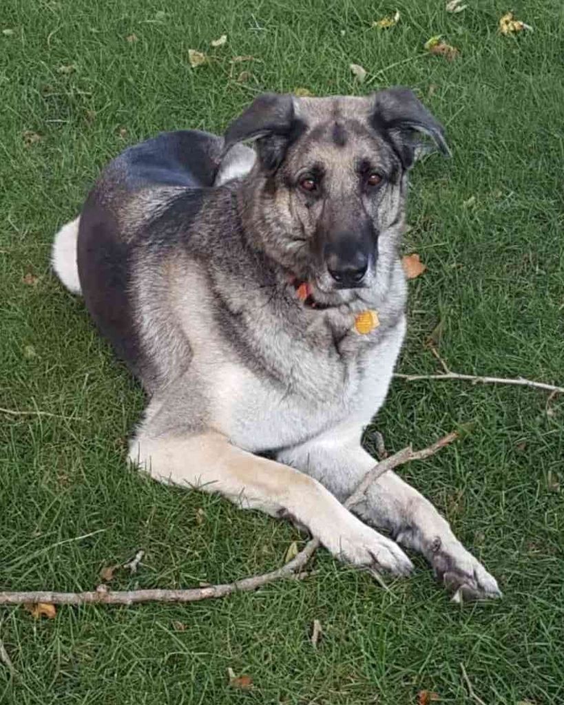 Asia Santana Bainter