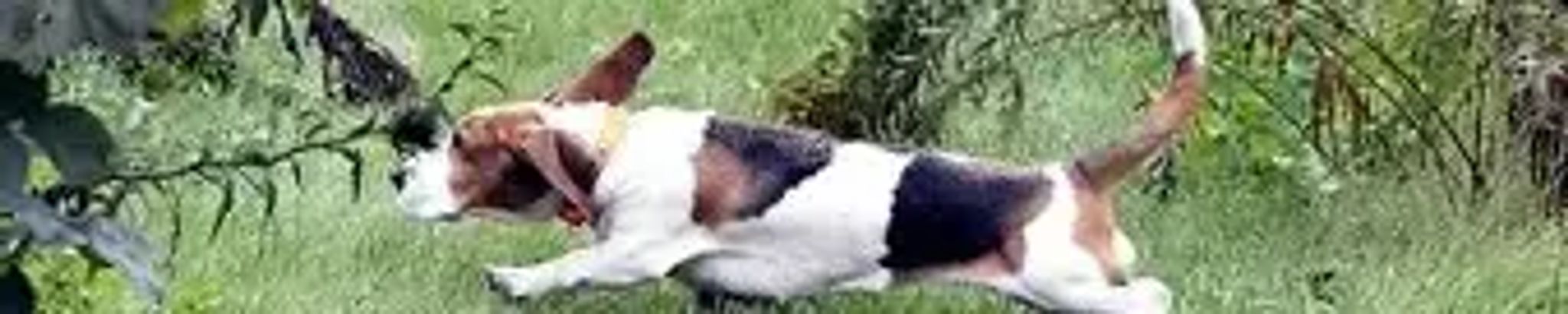 Cover for Charlotte D. Smith's Obituary