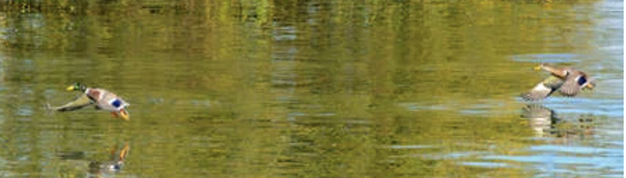 Cover photo for Billy Ray Long's Obituary