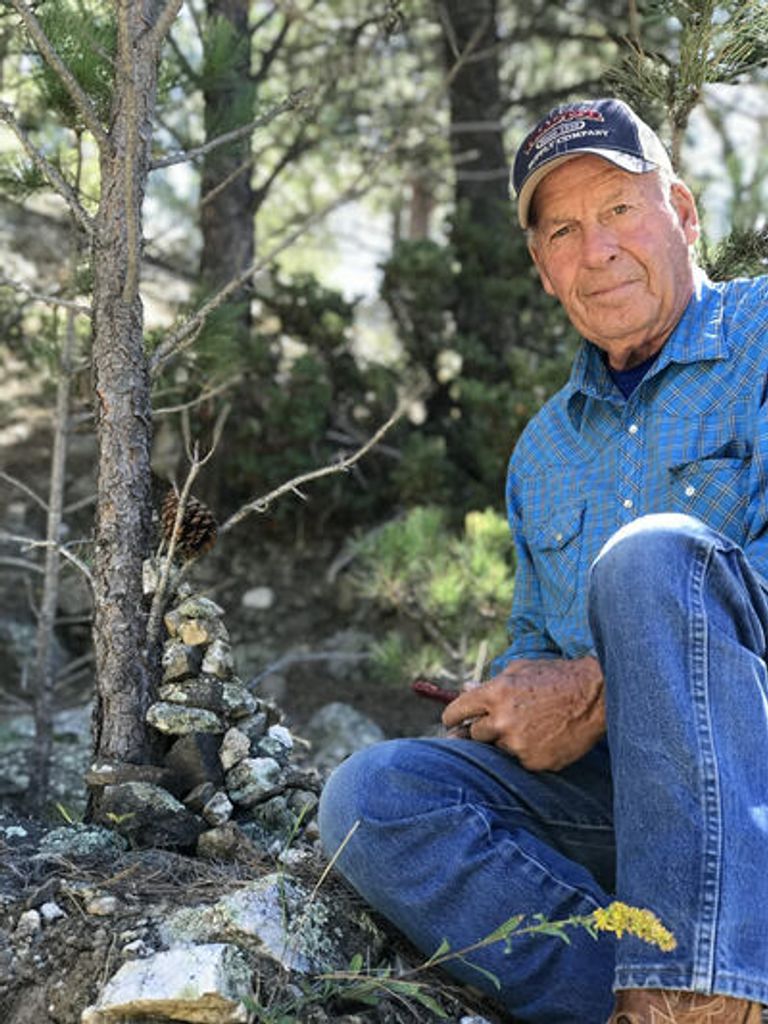 Robert Bernard Piggott