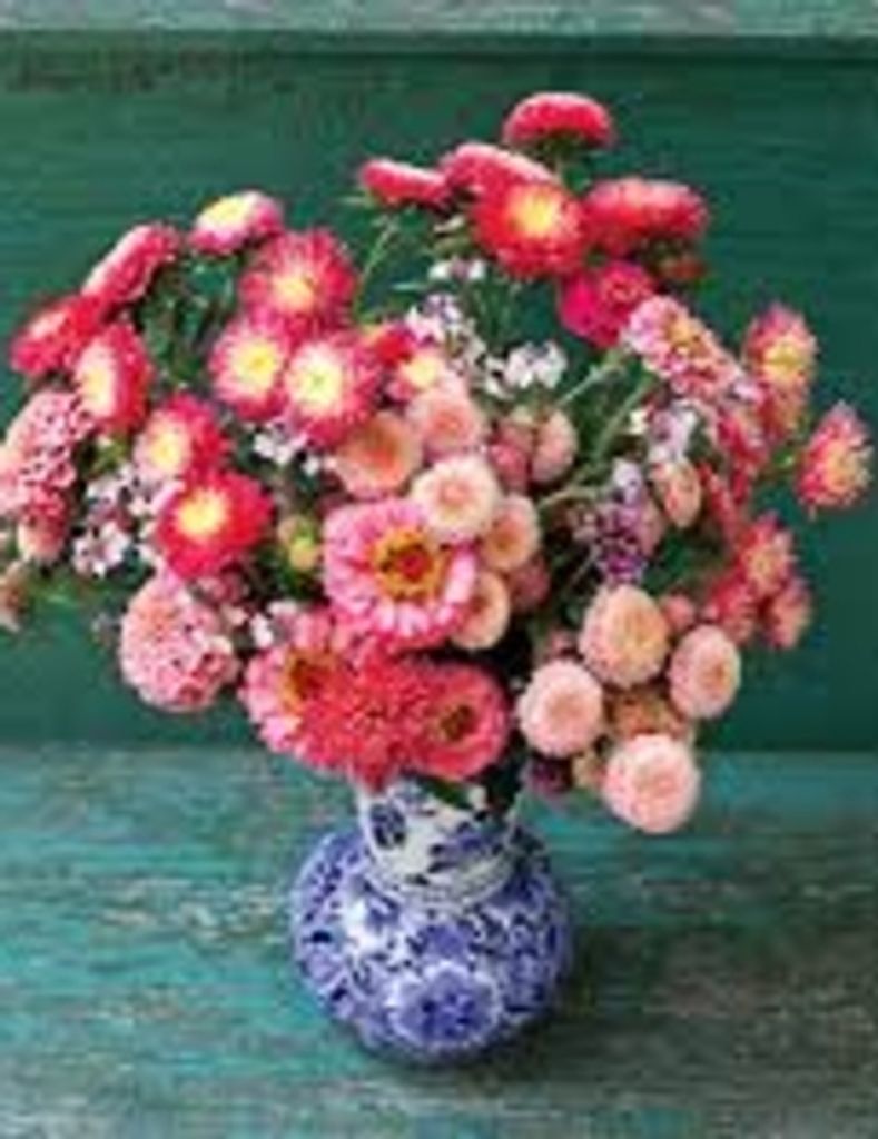 Annie Nadine Edwards