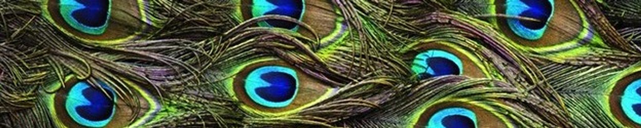 Cover for Michael Curtis Spragg's Obituary