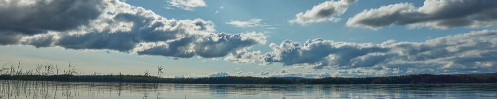 Cover photo for Joel Lee Adams's Obituary