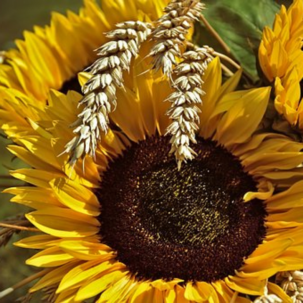 John Joseph Anker Profile Photo