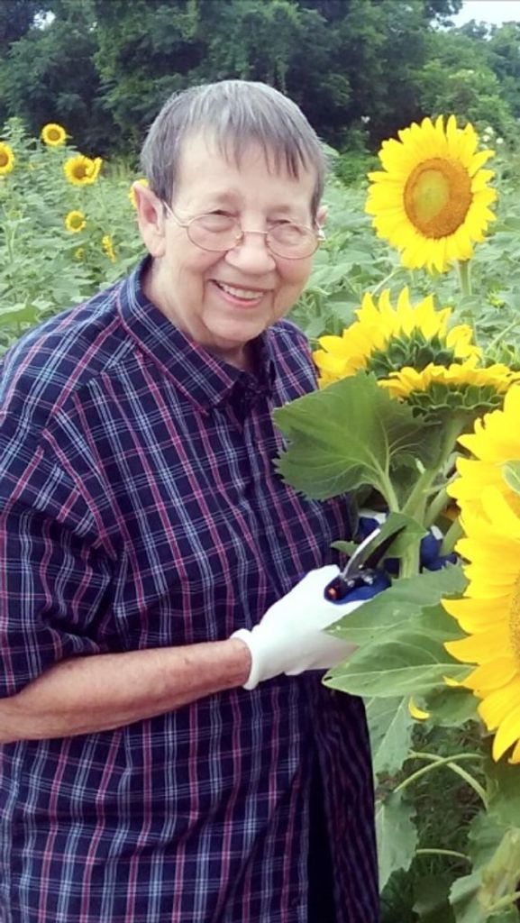Carol Ann Krebs