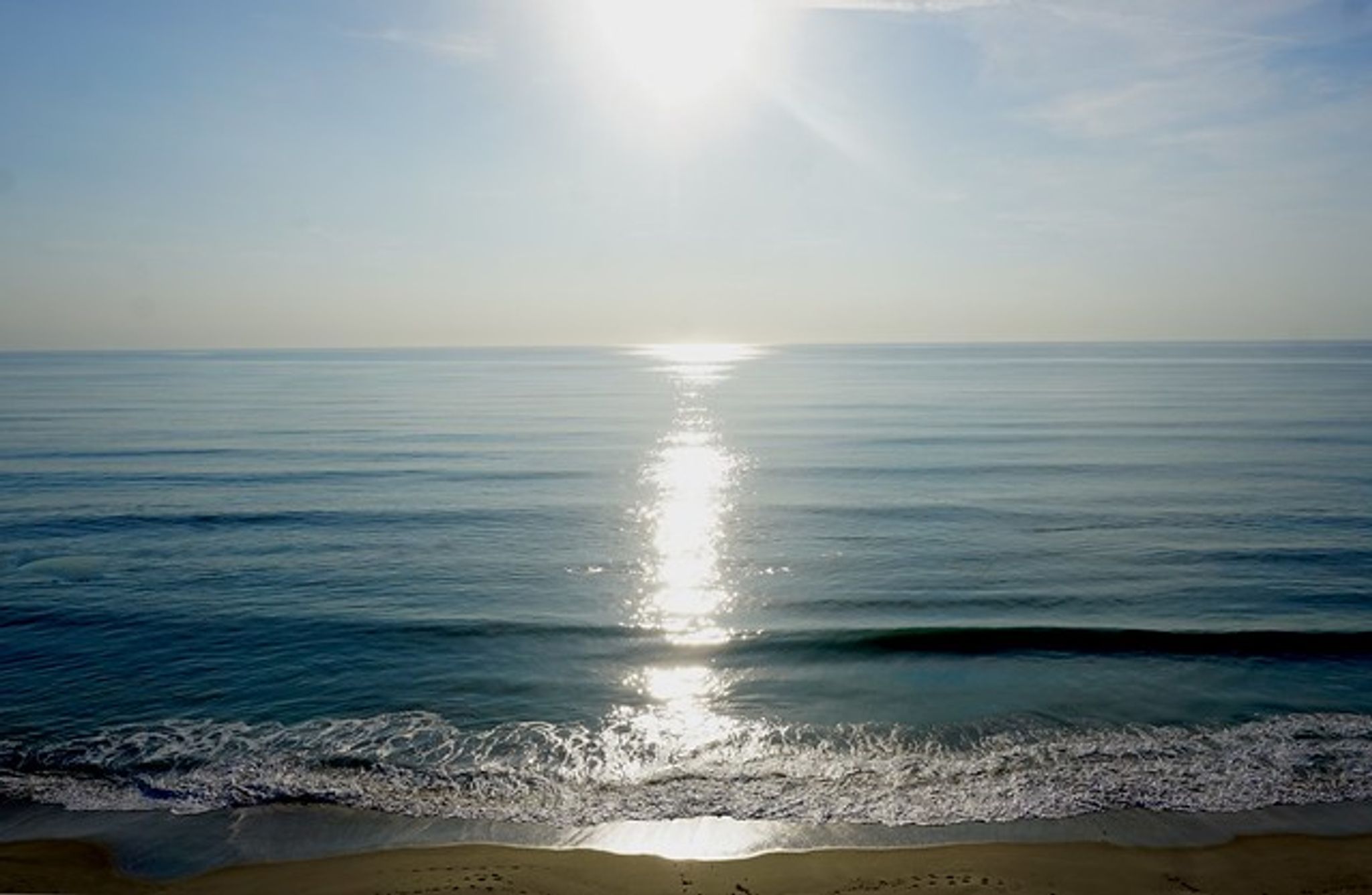 Cover for Carol Sue Platt's Obituary