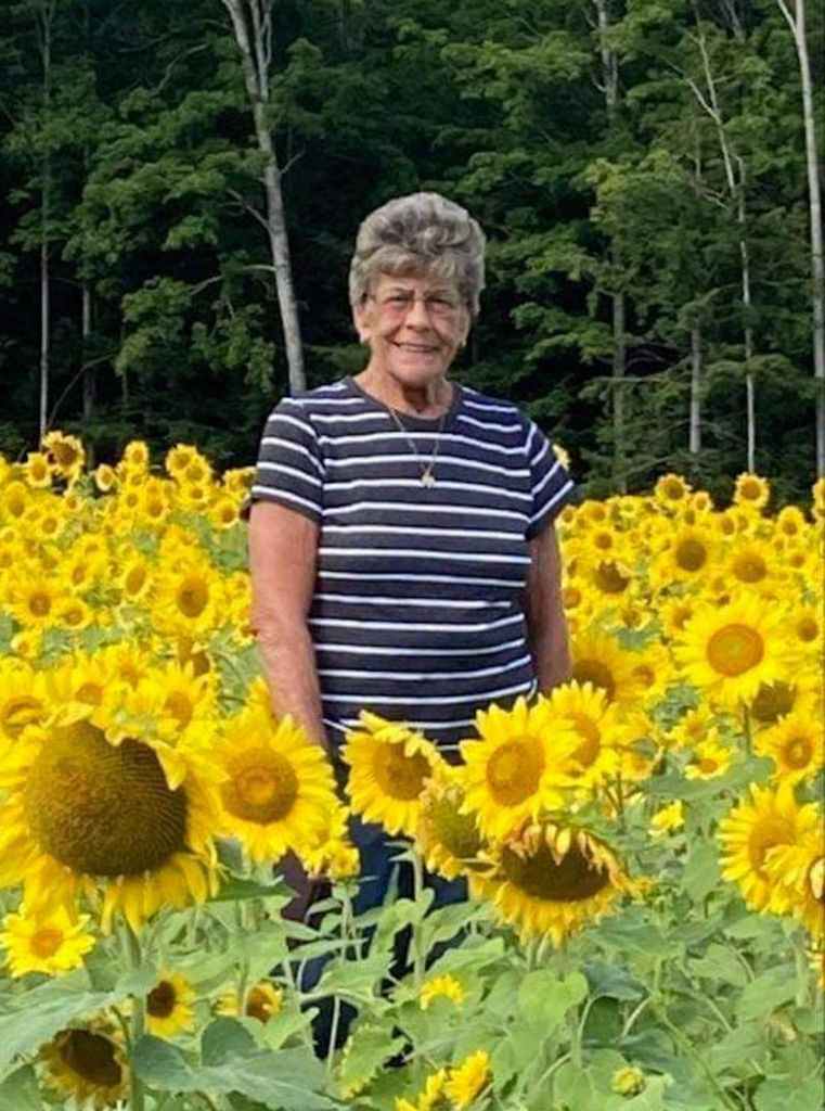 Paula Peirce Profile Photo