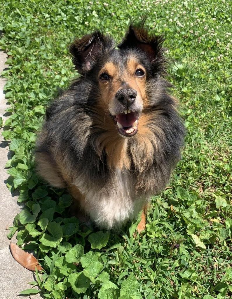 Cooper Harden Profile Photo
