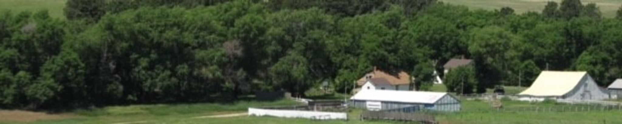 Cover photo for Patricia "Pat" A. Bridges's Obituary