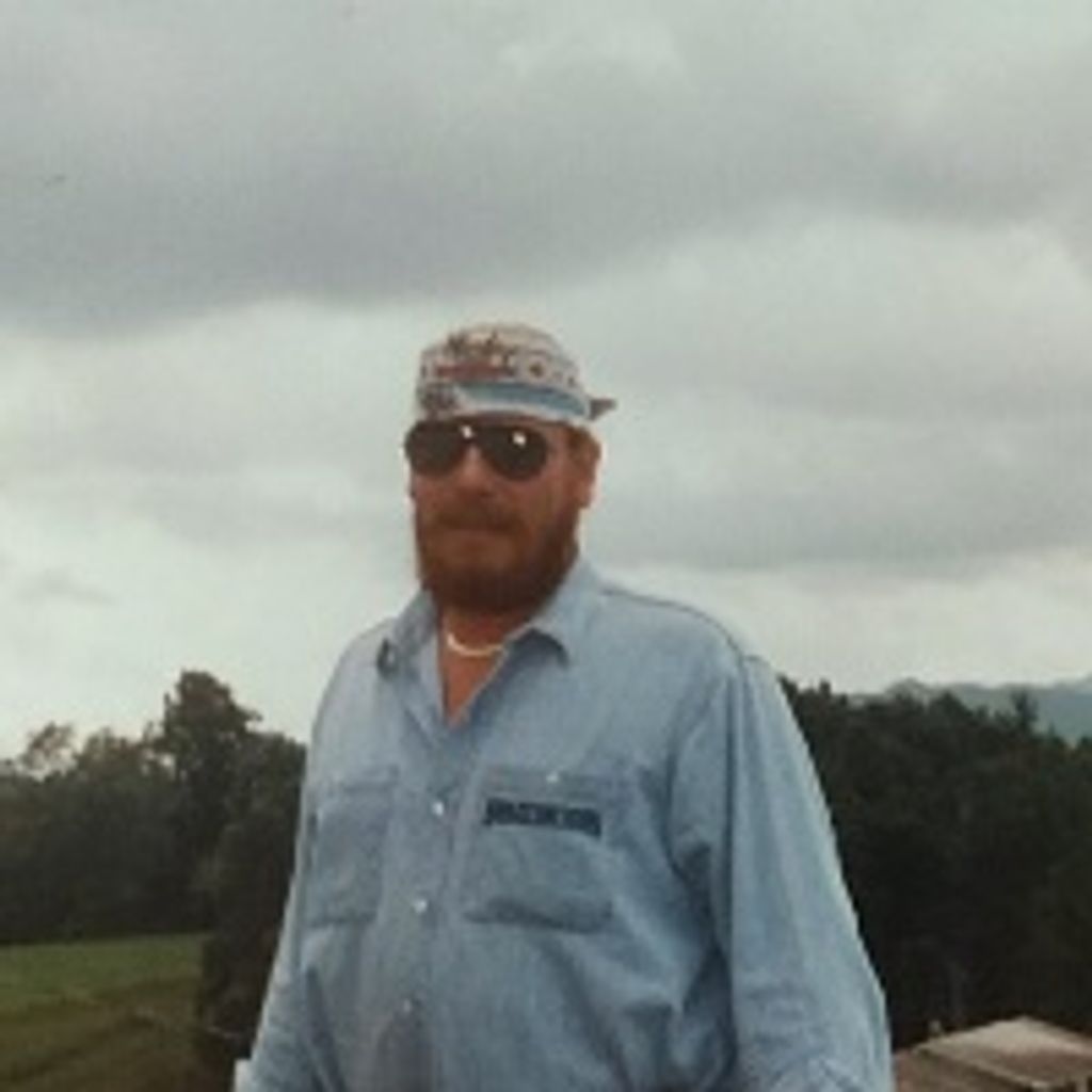 David P Taylor