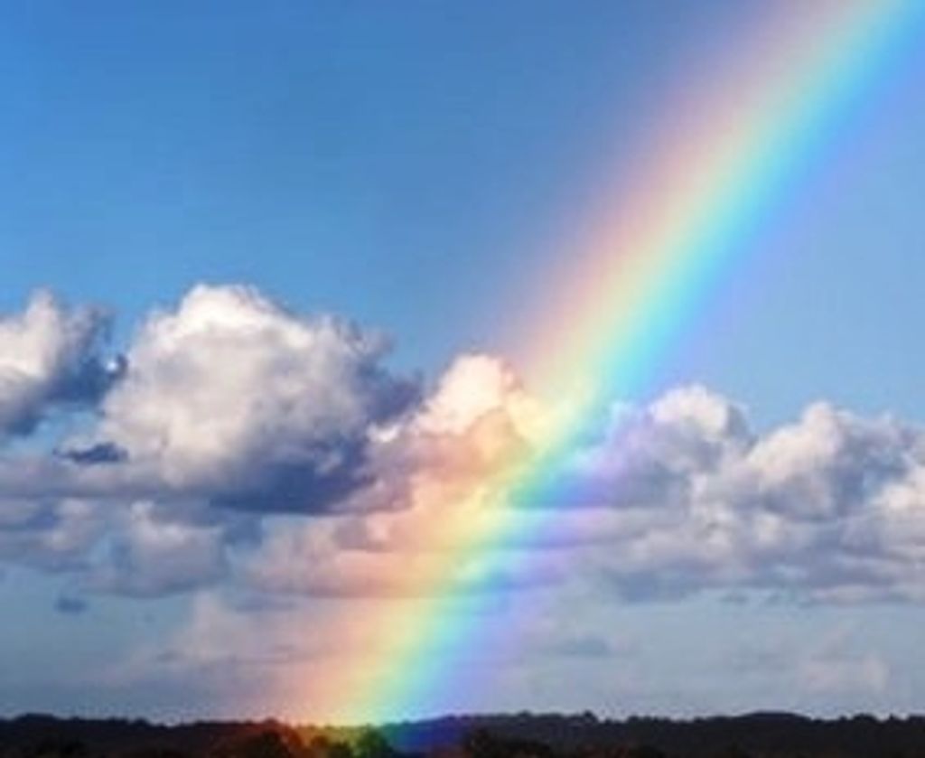 Tracy Lynn Retz Profile Photo