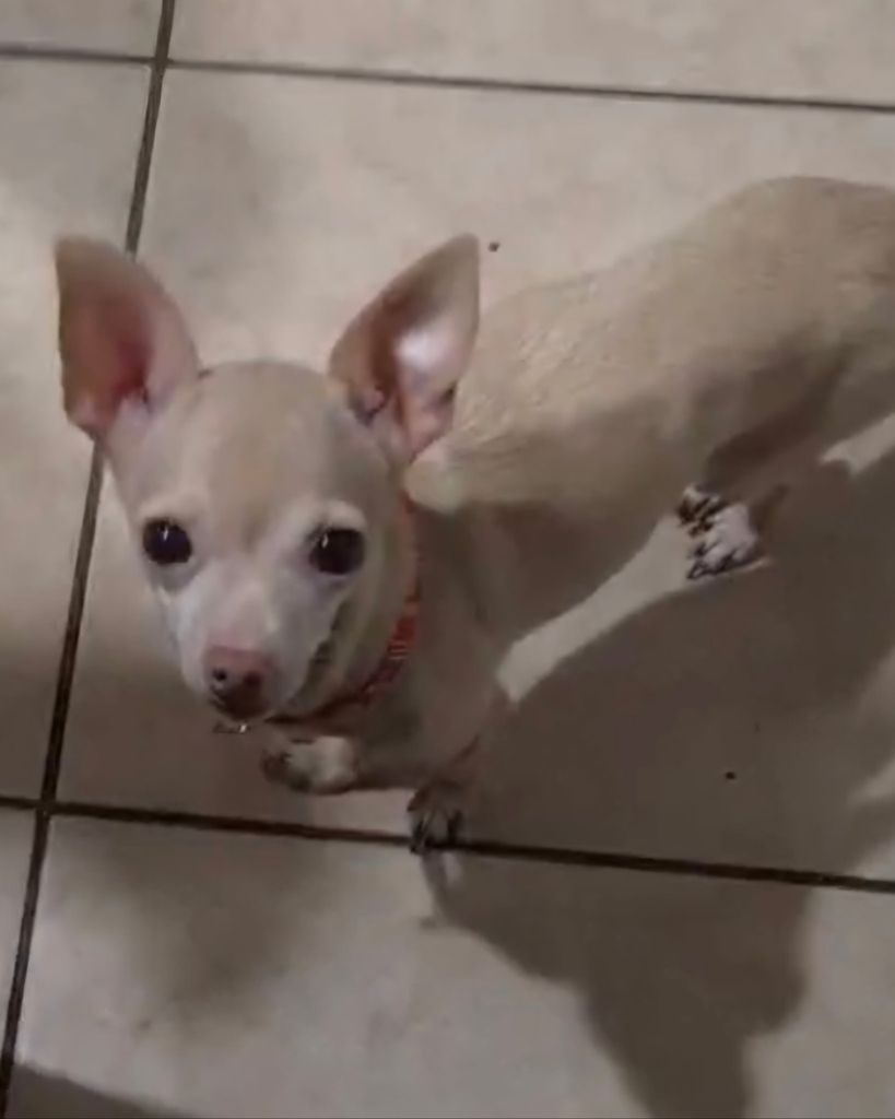 Mia ♥ Profile Photo