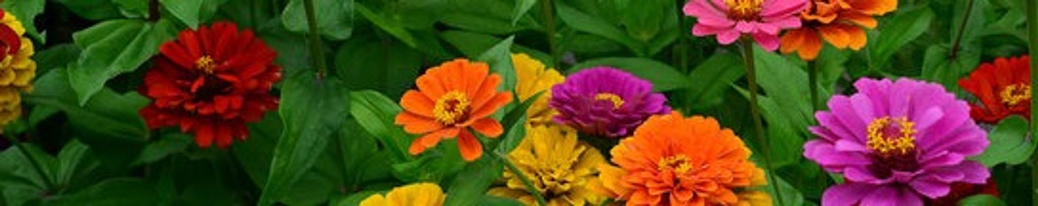 Cover photo for Rebecca "Becky" Adcock Rice's Obituary