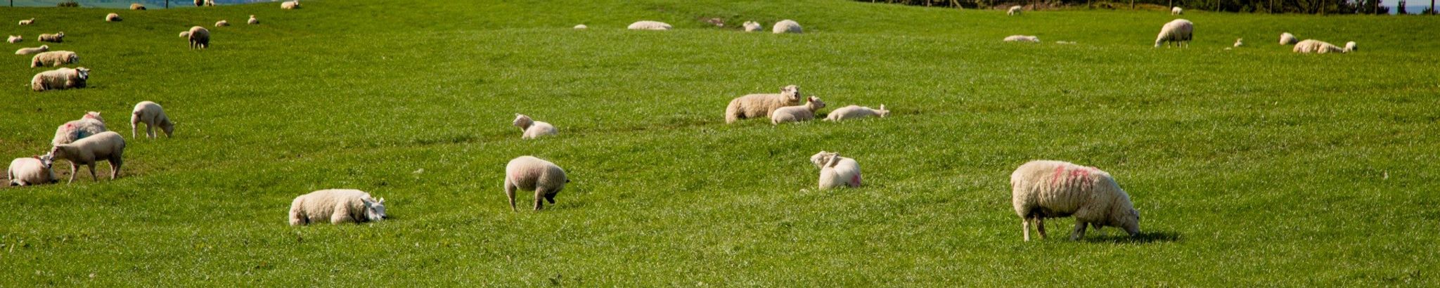 Cover for Herbert W. Burnham Sr.'s Obituary