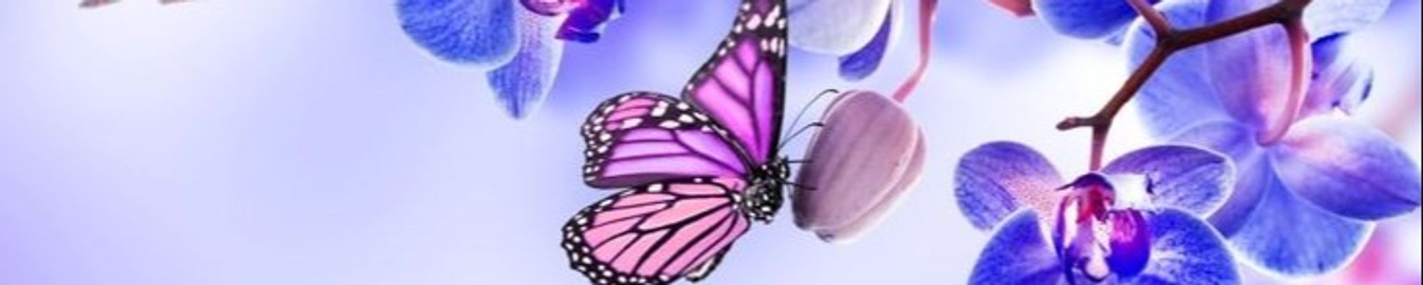 Cover for Teanna Henson's Obituary