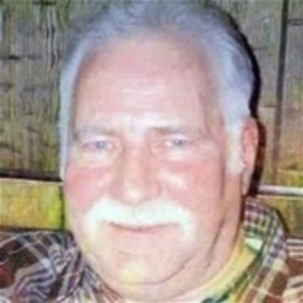 Donald J Wilkins