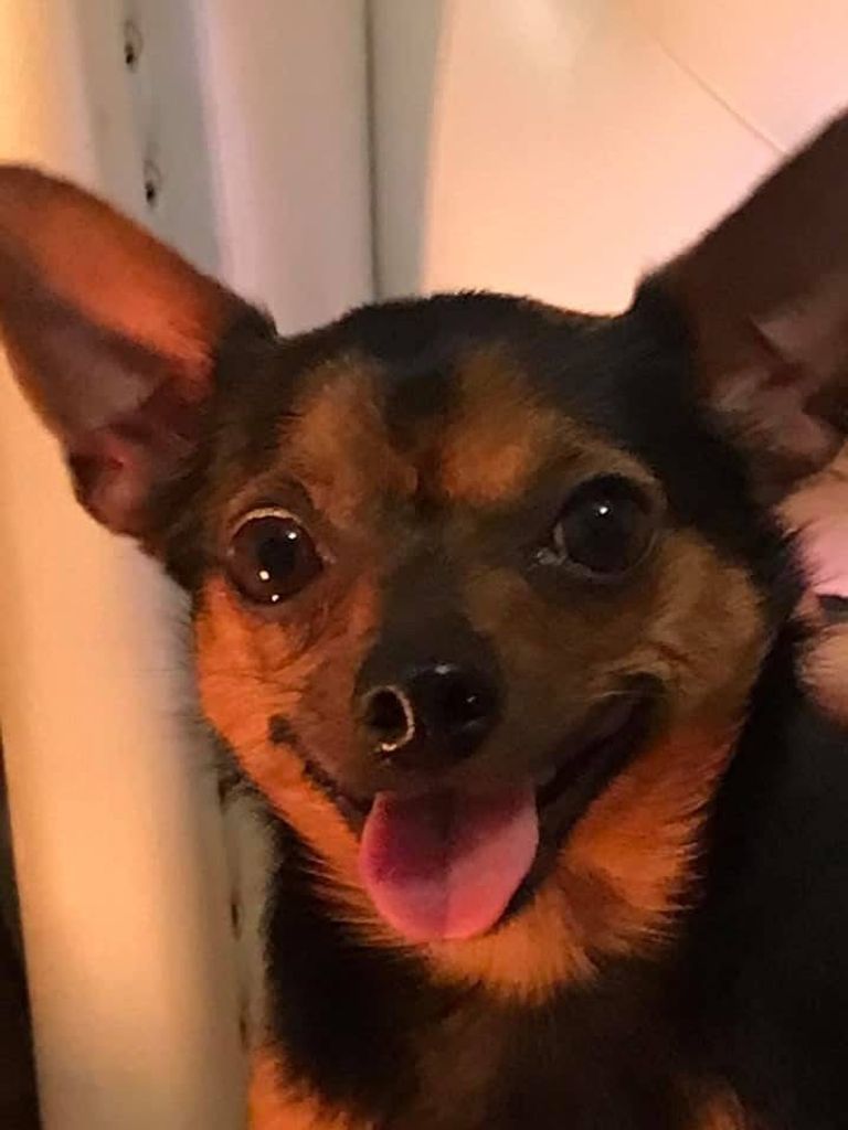 Chiquita Strayhorn Profile Photo