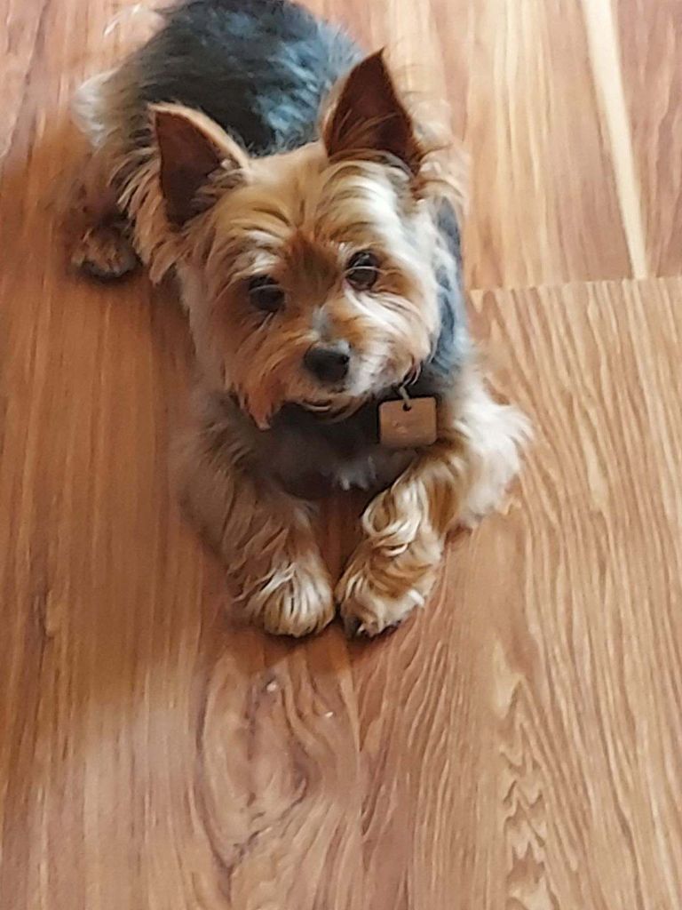 Buddy Profile Photo