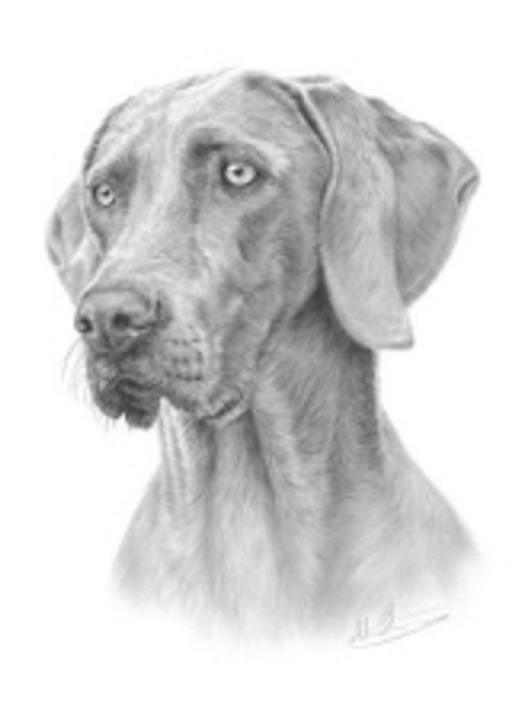 Maggie Vandam Profile Photo