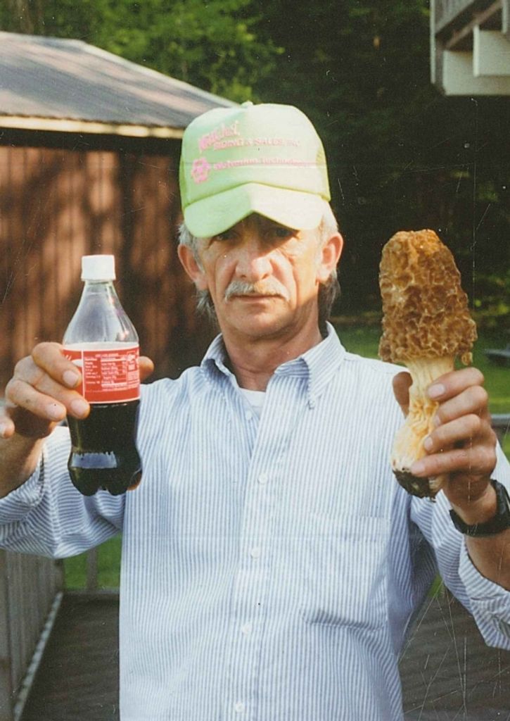 Donald F. Matts