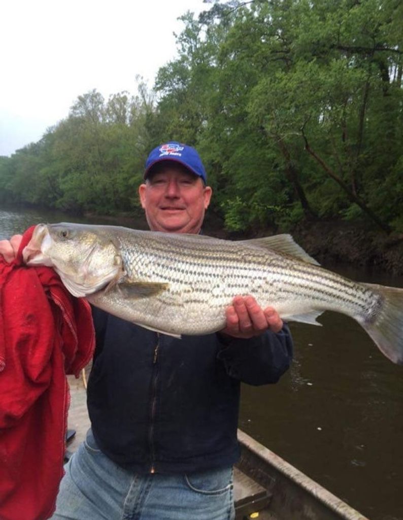 Marvin "Roy" Lee Jr.