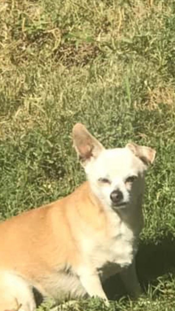 Sassy Profile Photo