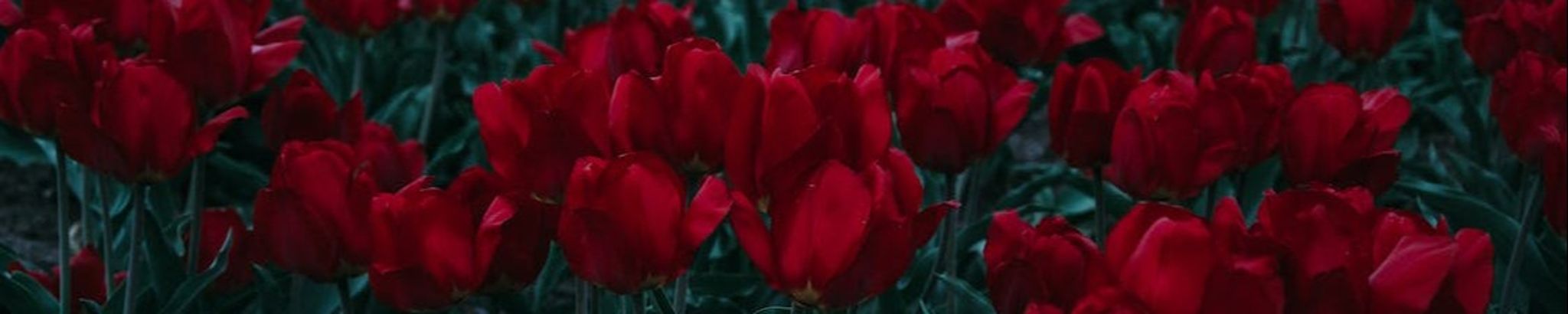 Cover photo for Edna Gay Carling's Obituary
