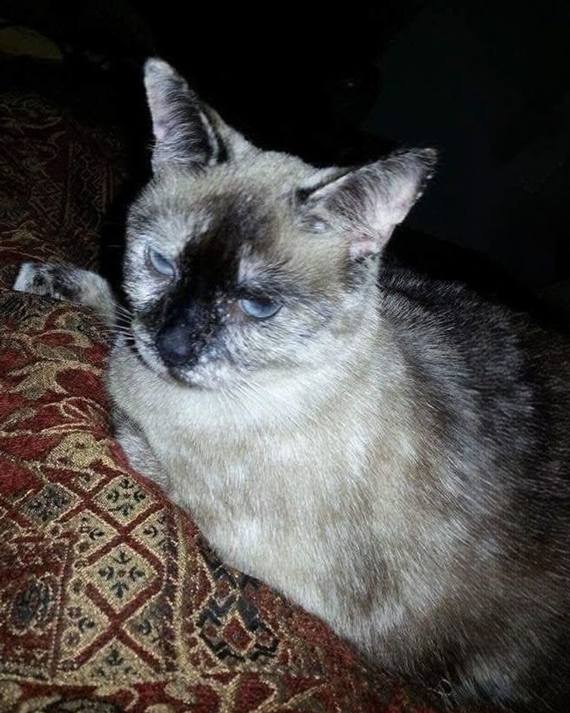 Pearl Armbrister Profile Photo