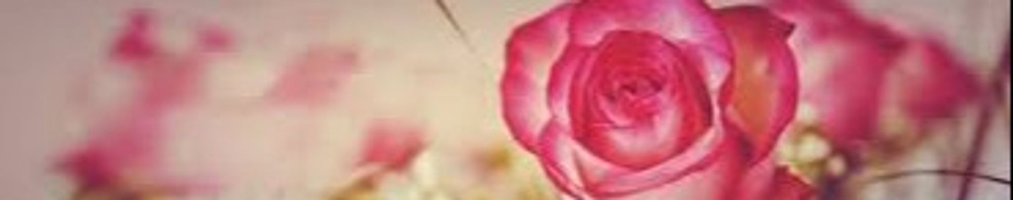 Cover photo for Margarita Sy's Obituary