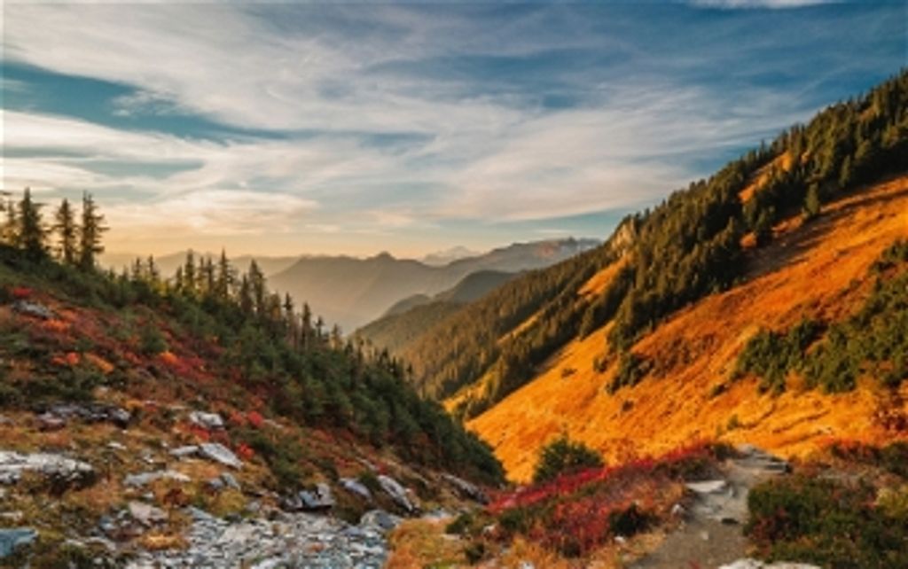 Mary Johnson Profile Photo