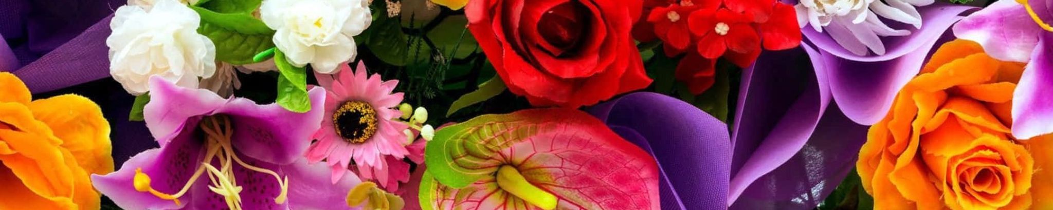 Cover photo for Dolores Timmerman's Obituary