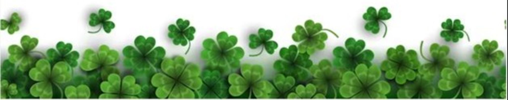 Cover for Timothy Michael Finnegan's Obituary