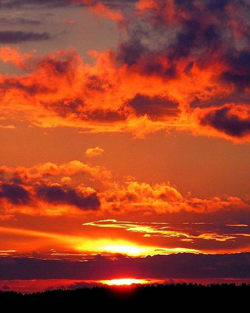 Brandy Guedry Sproles Profile Photo