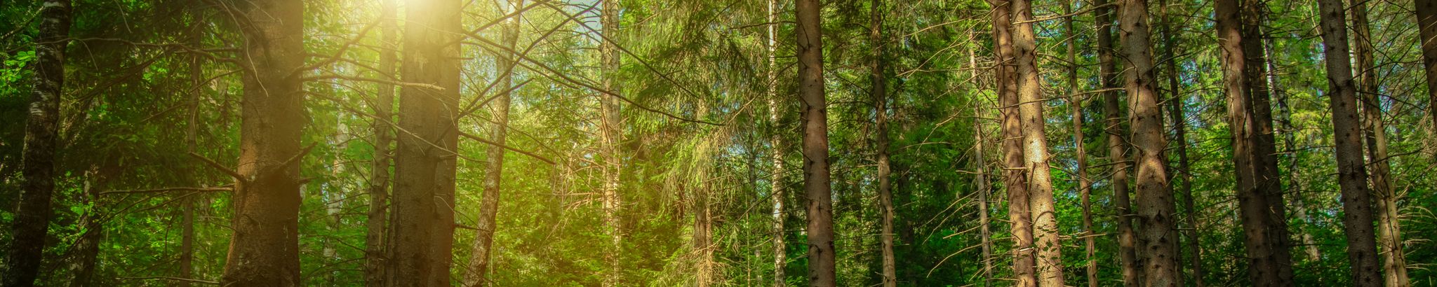 Cover for Keith Coote's Obituary