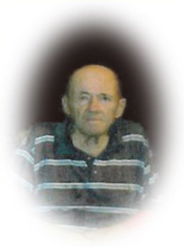 Willard Louis Hettich