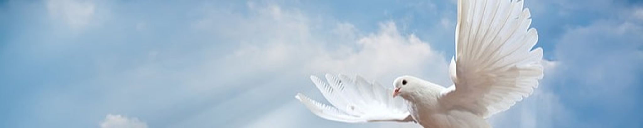 Cover photo for Jason Michael King's Obituary