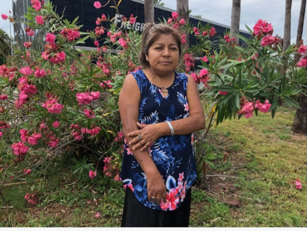Silvia Hernandez Bautista