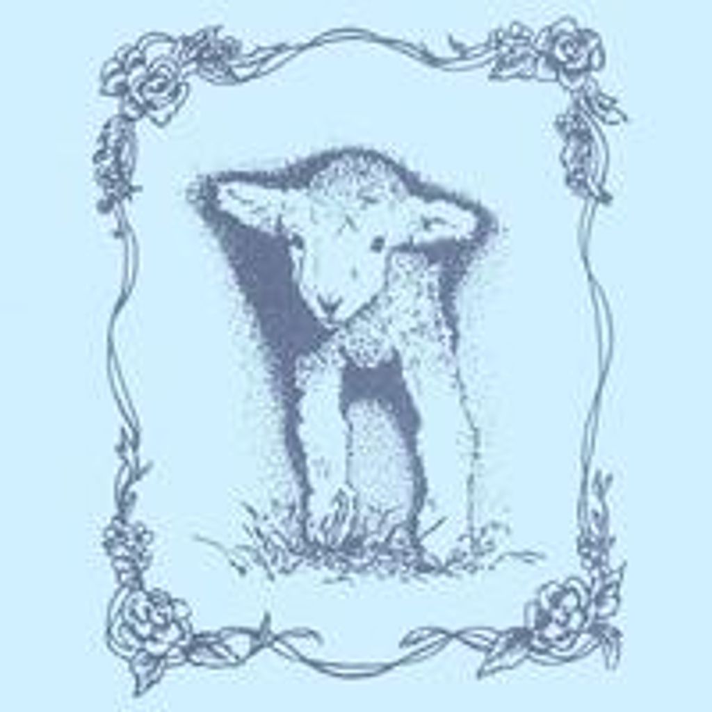 Camden  Zayne Mcdonald