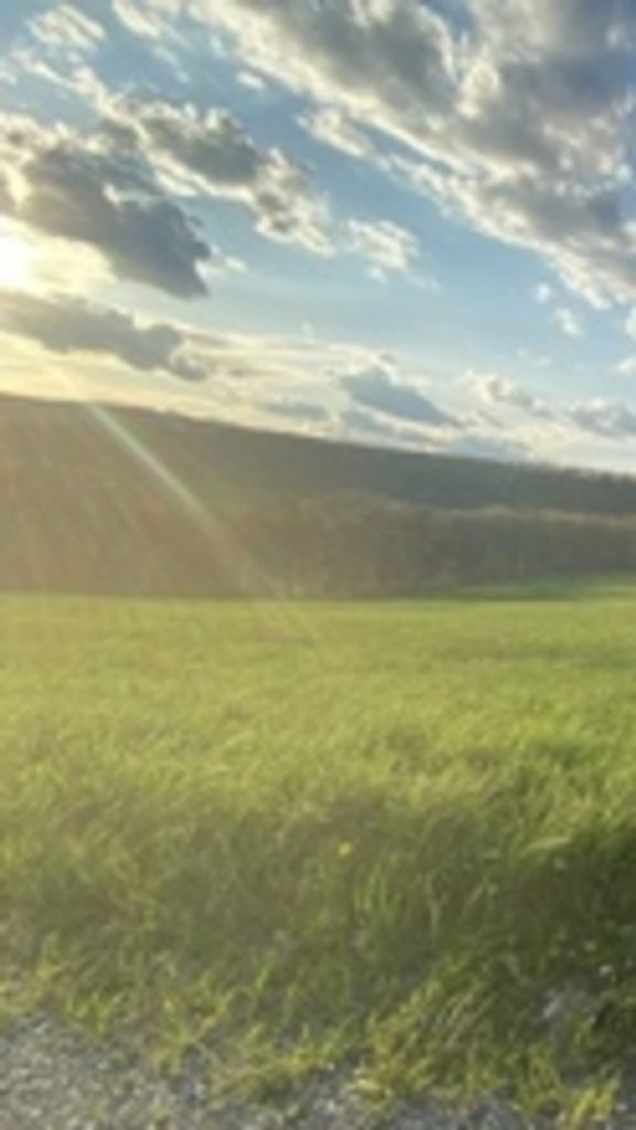 Samuel J. Cannistraci Profile Photo