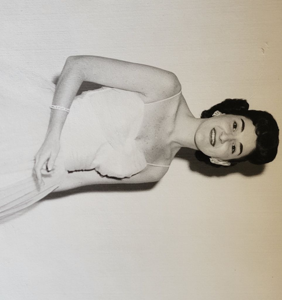 Harlene Shapiro