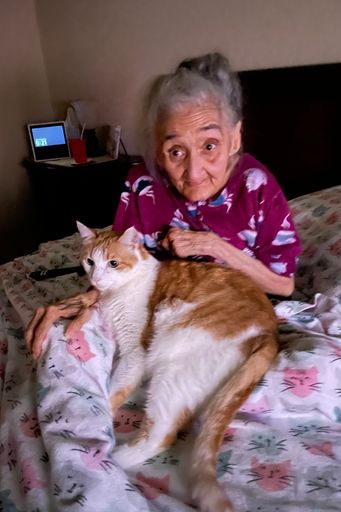 Hilda Luz (Feliciano)  Acevedo photo gallery thumbnail 28 of 43