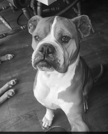 Max Farmer's obituary image