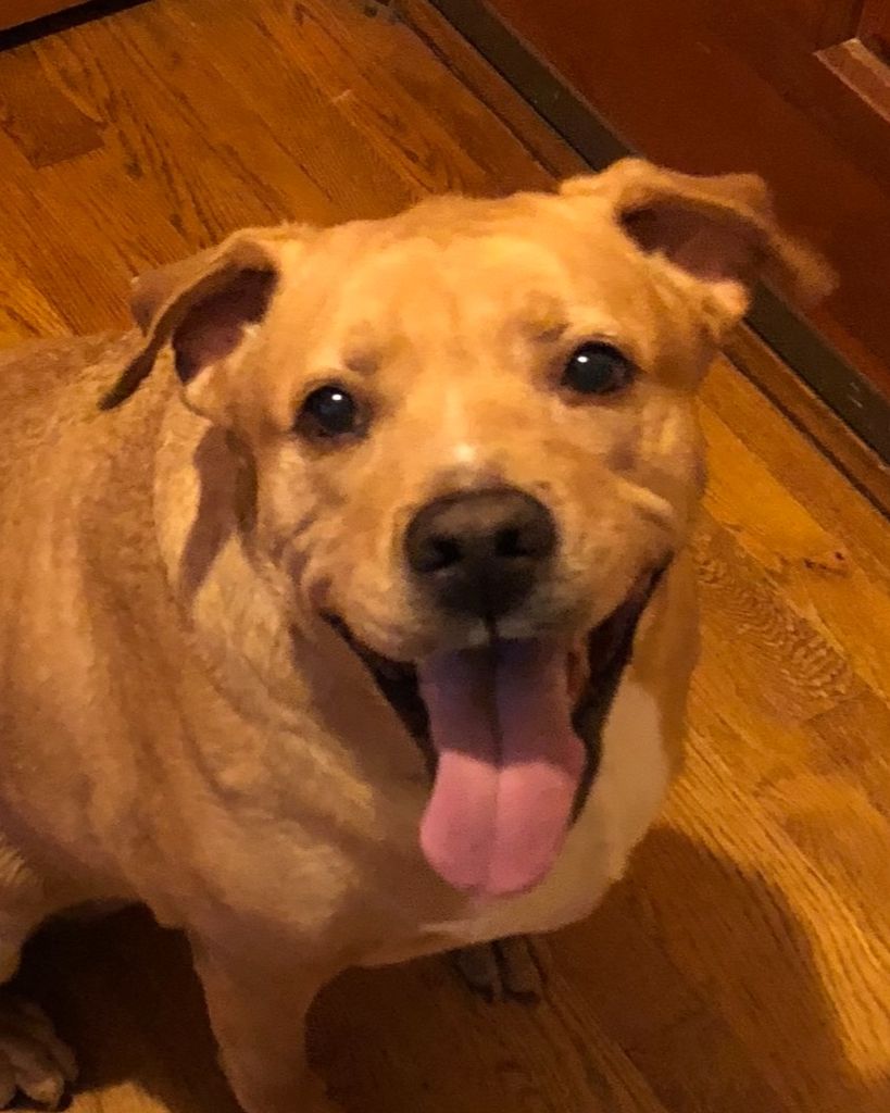 Rufus Pesta Profile Photo