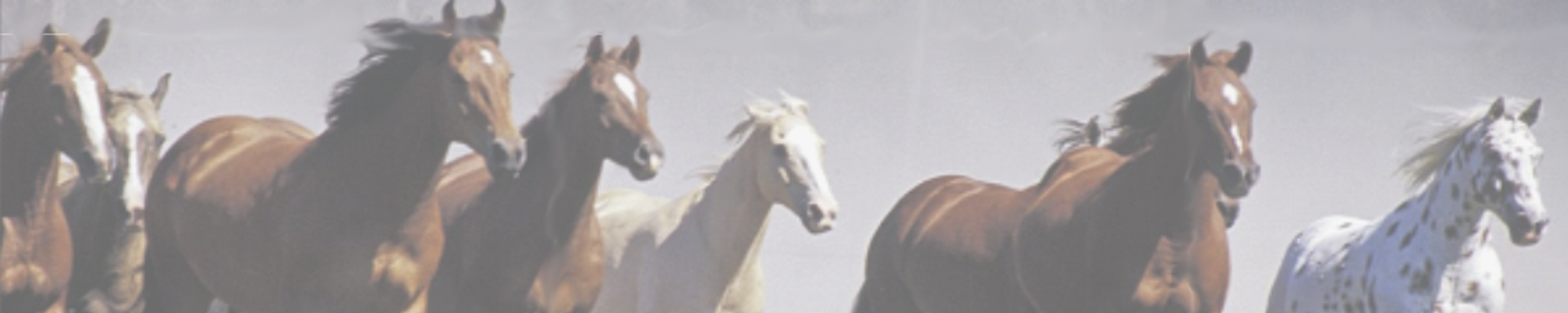 Cover photo for Marilyn Gerhardt's Obituary